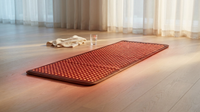 Red and Near-Infrared Light Therapy Mat for Whole Body — Lifestyle