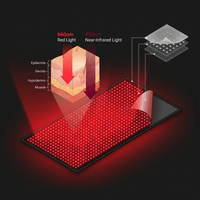 Red and Near-Infrared Light Therapy Mat for Whole Body — How It Works